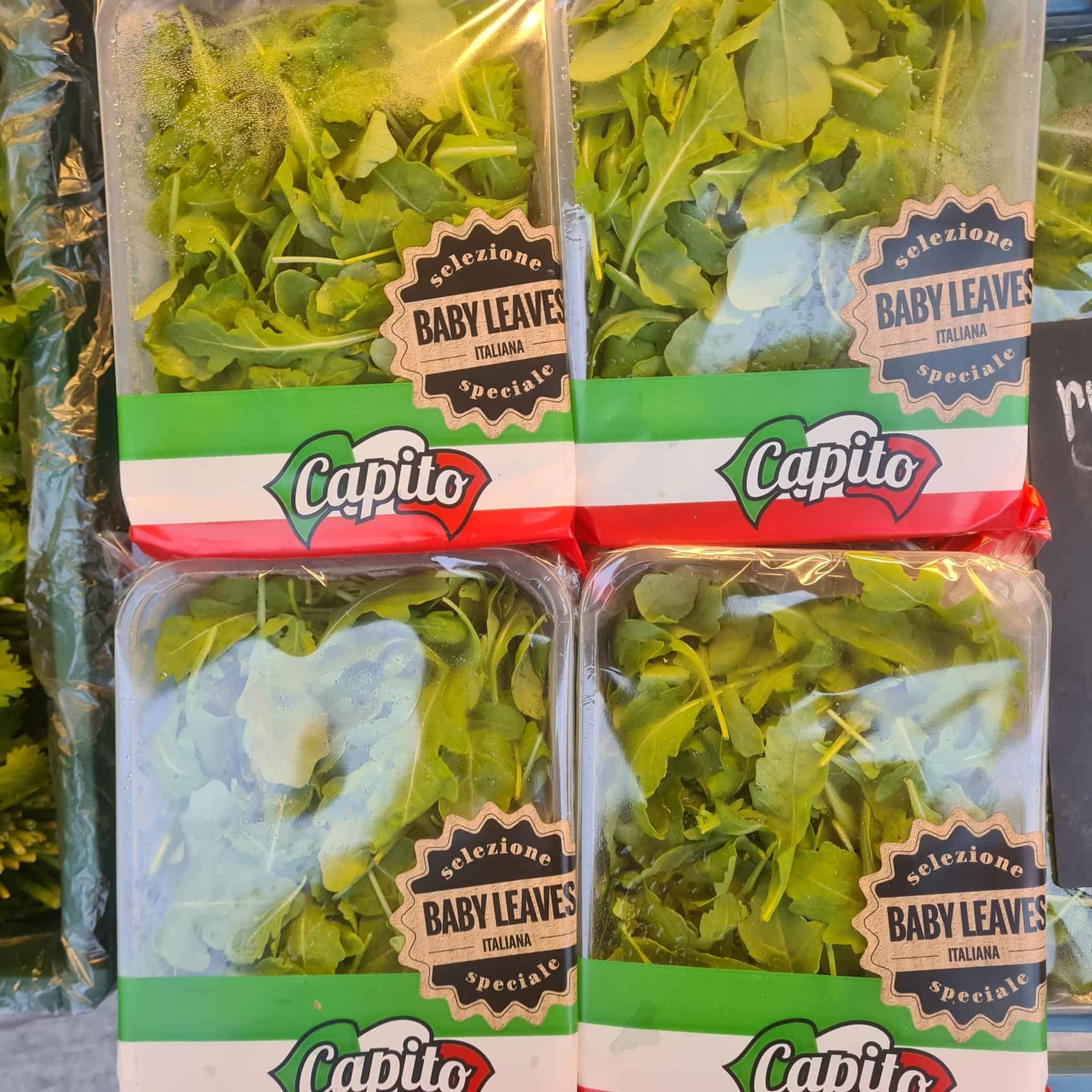 Rucola