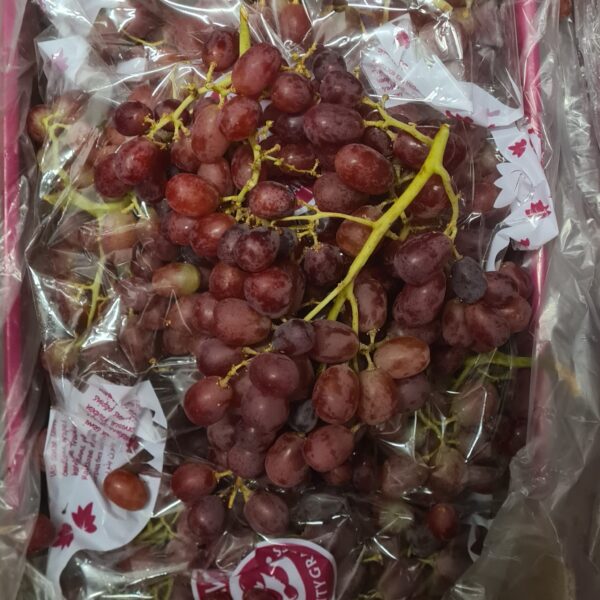 Rode druiven